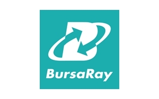 BursaRay